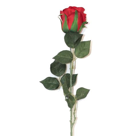 28 Red Velvet Long Stem Single Rose Flower Lo Florist Supplies