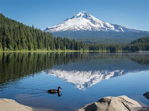 Trillium Duck Mount Hood Oregon Mountain Photography By Jack Brauer