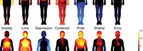 Mappa Delle Emozioni Sul Corpo Il Giulebbe