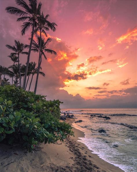 Nothing Quite Like Hawaiian Sunsets 📸 Erubes1 🌴 Hawaii Photos