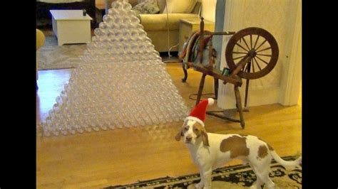 A dog is man's best friend, so don't forget your pup this christmas. Best Dog Gift Ever - Dog Receives 210 Bottles for ...