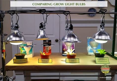 Check spelling or type a new query. Grow Lights For Beginners: Start Plants Indoors | The ...