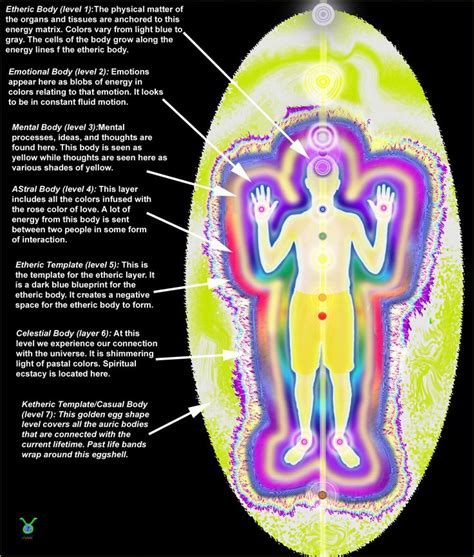 This Is A Diagram Showing The First 7 Layers Of The Aura They
