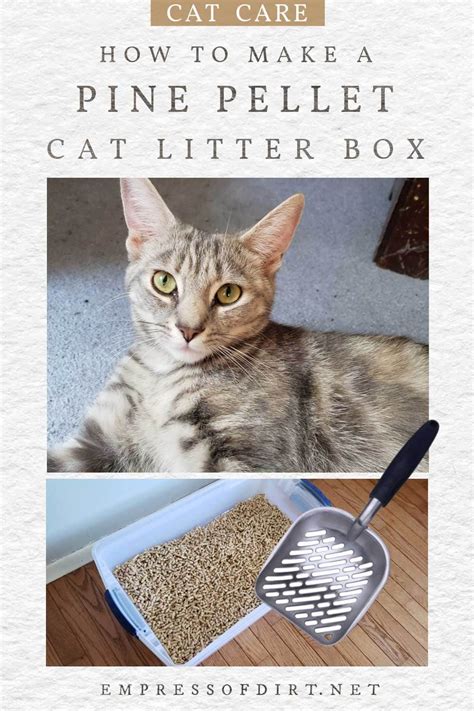 Diy Sifting Cat Litter Box Using Low Cost Pine Pellets In 2023 Cat