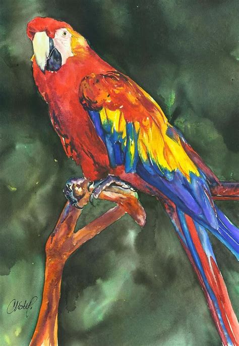 Scarlett Macaw Parrot By Christy Freeman Stark Parrot Painting