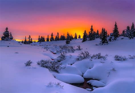 1080p Free Download Winter Sunset Water Snow Sunset Trees Sky