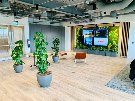 Why Is Biophilic Design Crucial In Commercial Interior Design Blog