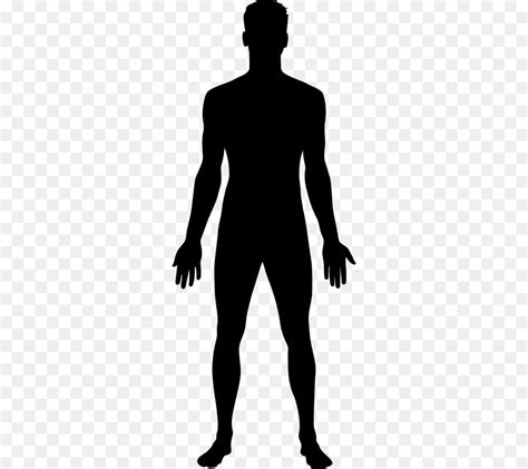 Free Male Body Silhouette Download Free Male Body Silhouette Png