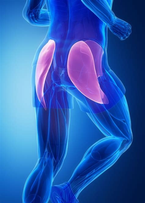 What Is Piriformis Syndrome Moyer Total Wellness