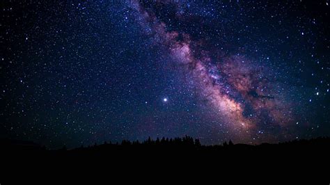 Wallpaper Starry Sky Trees Stars Nebula Night