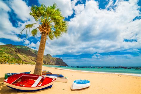 It is home to 43% of the total population of the canary islands. Tenerife | Cosa fare e vedere a Tenerife