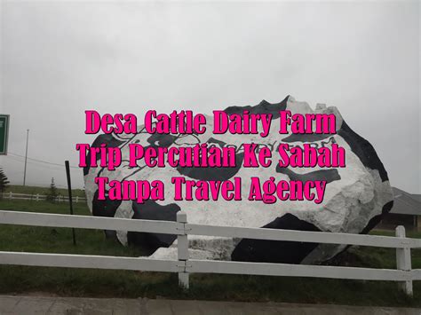 A 50 km de desa dairy farm. Desa Cattle Dairy Farm Kundasang | Trip Percutian Ke Sabah ...