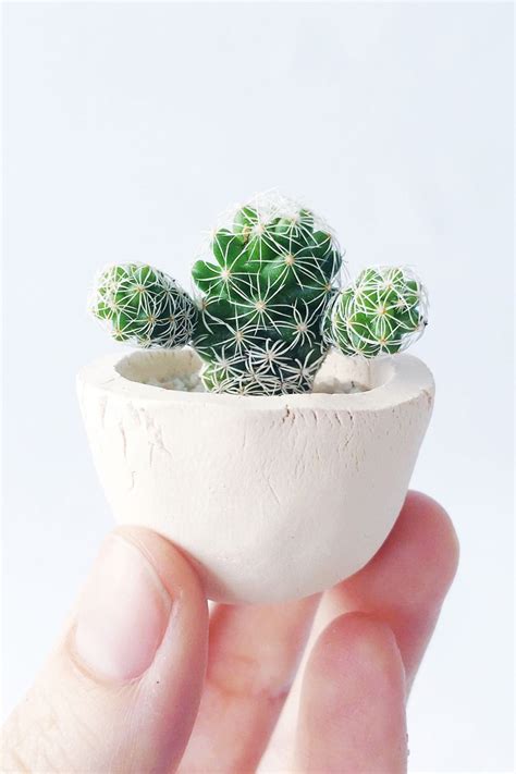 Mini Cactus And Mini Planter Lino Mini Cactus Kit Handmade Ceramic