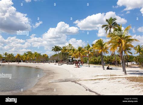 Miami Usa Mar 10 2017 Matheson Hammock Park Beach In Miami