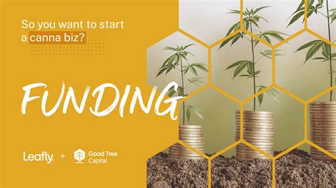 how to get funding for a cannabis business leafly