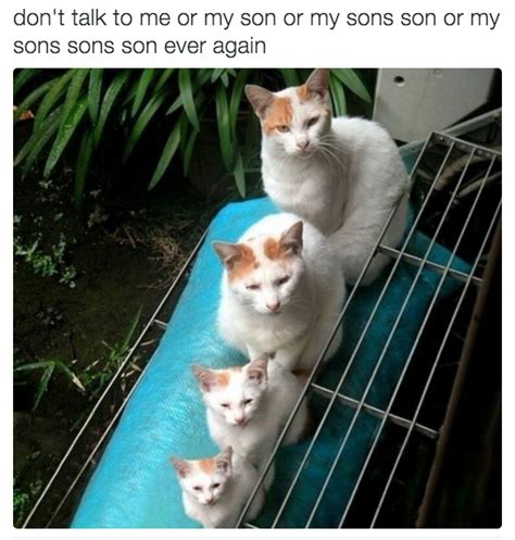 Dont Talk To Me Or My Son Or My Sons Son Or My Sons Sons Son Don