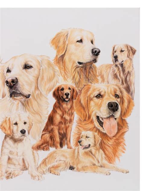 Pin By Doreen Laforgia On Dog Art Golden Retriever Golden Retriever