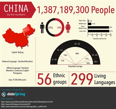 Infographics A Marketers Glimpse Into China Eye On Asia