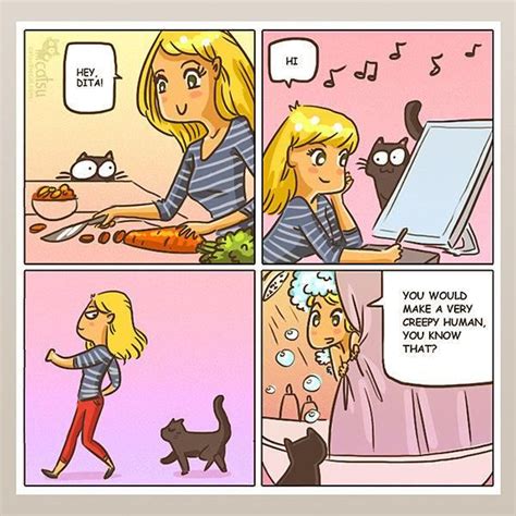 Comics That Perfectly Sum Up The Wonderfully Weird Ways Of Cats