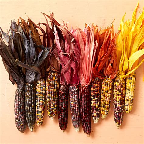 Gorgeous Diy Fall Decorating With Corn Husks Midwest Living