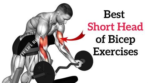 12 Best Short Head Bicep Exercises For Mass And Strength