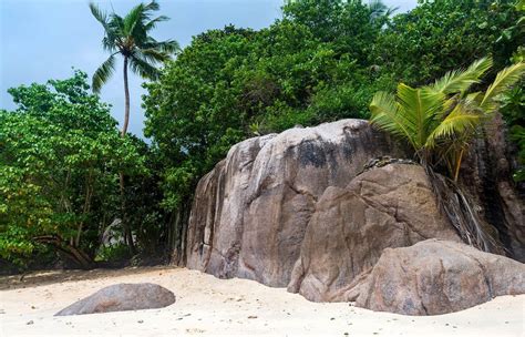 Best Beaches In Seychelles Rough Guides
