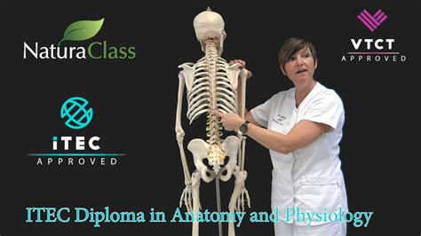 Itec Diploma In Anatomy And Physiology For Facebook Youtube