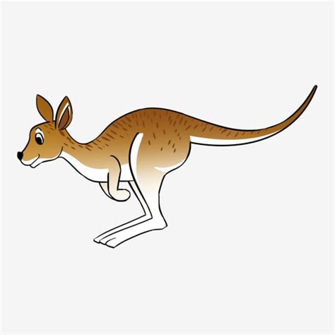 Lukisan kartun haiwan comel cikimm com. Kartun Comel Haiwan Liar Kangaroo Ilustrasi, Haiwan Kartun ...