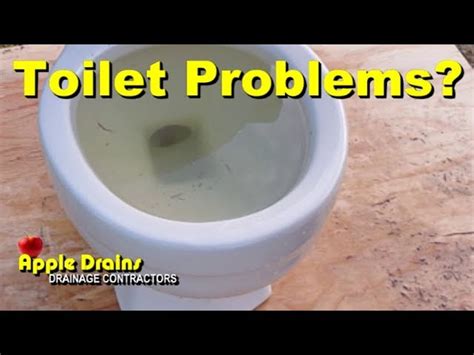 How To Prevent Toilet Overflow Behalfessay9