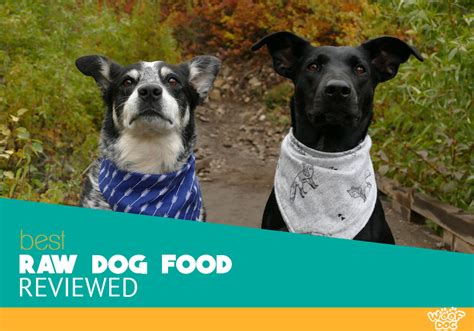 Hungryroot delivers healthy groceries with simple recipes. 10 Best Raw Dog Food in 2020 - User Reviews & Buying Guide