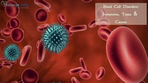 Blood Cell Disorders Symptoms Types And Causes Medsurge India