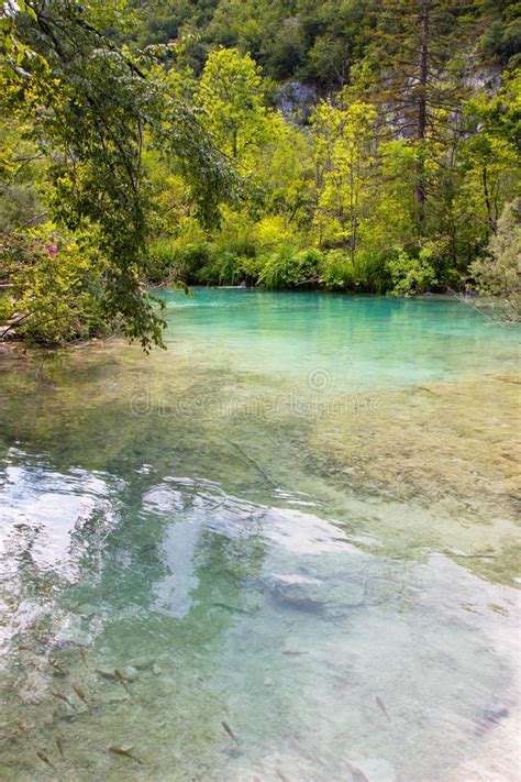 Turquoise Waters Of Plitvice Lakes National Park In