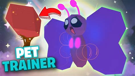 | super power training simulator (roblox). C#U00f3digos De Pet Trainer Mascota Gratis Roblox Pet ...