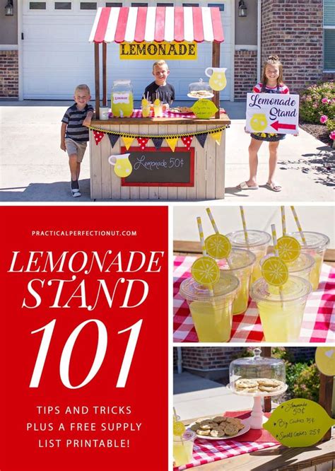 The Best Tips For How To Organize A Successful Lemonade Stand For Kids