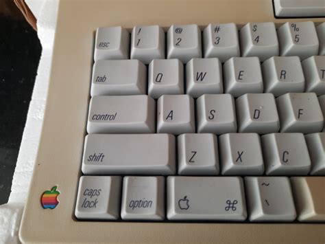 1 Apple Keyboard Model No M0116 Qwerty Macintosh 1 Catawiki