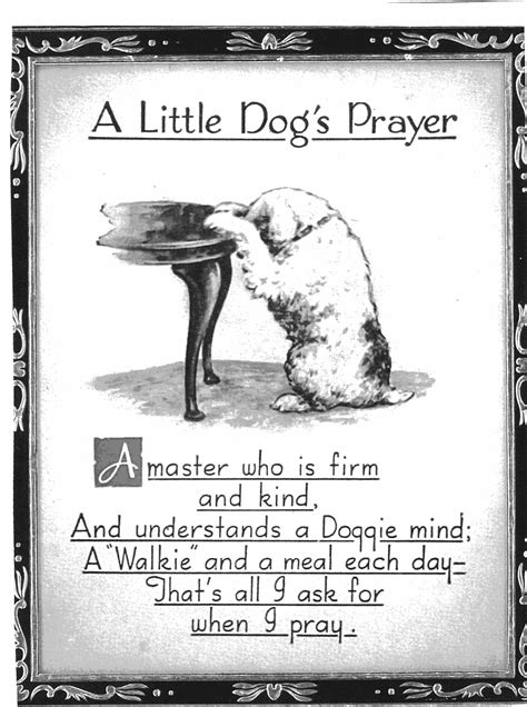 Prayer For Pets That Have Died Pets Reference