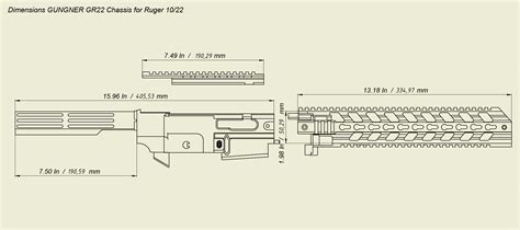 Chassis System For Ruger 1022 Gungner