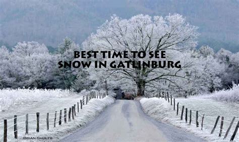 Best Times To See Snow In Gatlinburg Great Smoky Mountains