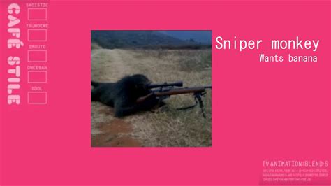 S Is For Sniper Monkey Youtube