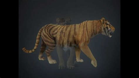 But before you get started, let's go over the basics first: Tiger 3D model | Animals Mammal 3D model | max, 3ds, obj ...