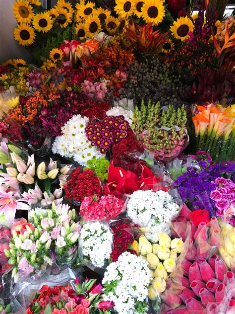 Same day delivery · satisfaction guarantee · fresh flower guarantee Flowers of Bogota | Colombia tour, Flowers, Traveling by ...