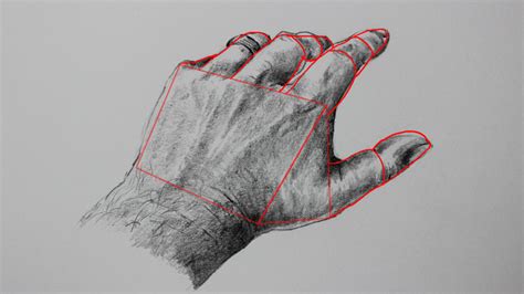 From profile, this plane will be a perfect circle, but when drawing it from any other angle, it will appear to be an oval because of the angle of the head is established at the very beginning of the drawing with the ball. How to Draw Hands