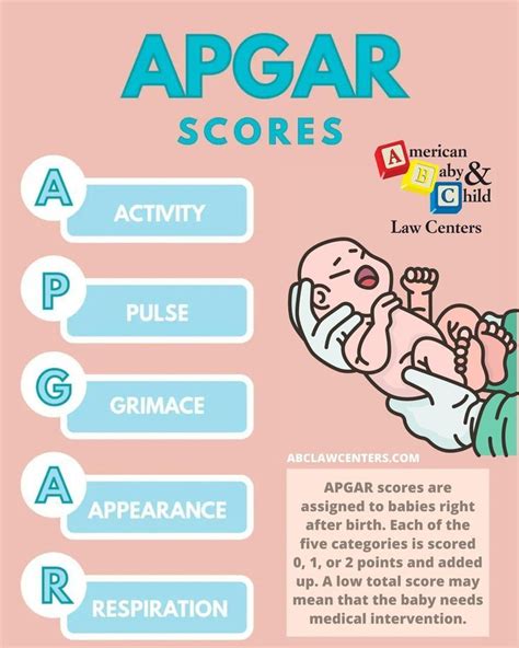 Apgar Score For Newborn Health Assessment In 2022 Apgar Score