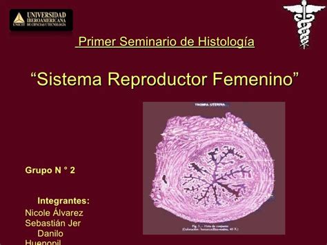 Seminario Histología Reproductor Femenino