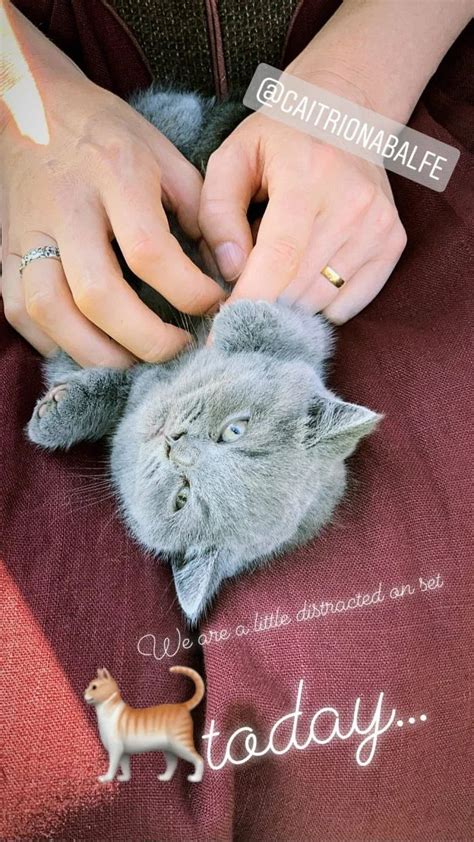 New Pics And Video Of The Cast Of Outlander With The Cat Playing “adso” Outlander Online