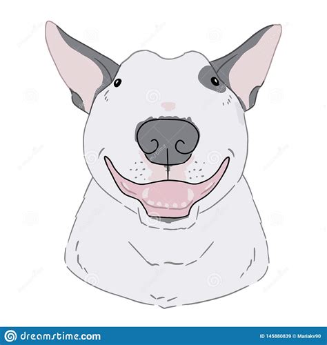 Vector Art Of Bull Terrier Portrait On White Background Hand Drawn