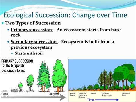 Ppt 26 Ecosystem Changes Powerpoint Presentation Free Download Id