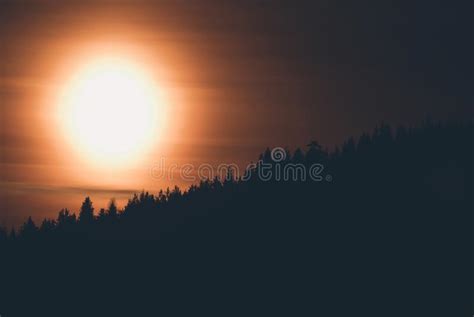 Beautiful Orange Sunset With Dark Forest In The Foreground Stock Image