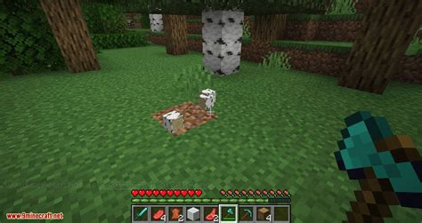 Can t run minecraft server jar. Better Dropped Items Mod 1.16.4/1.15.2 (Cooler Models ...