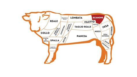 Come Riconoscere I Tagli Della Carne Fabrizio Nonis Spiega Il Bovino Youtube